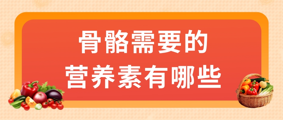 骨骼需要的營(yíng)養(yǎng)素有哪些？